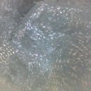 덕성카센타 이미지