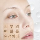 아르베라
