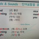 다시 시작하는 영어공부(초급) 이미지