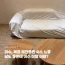 여수카스테라 | 여수 우두리포펫 애견펜션 104호 | 여수 애견펜션 내돈내산 후기