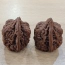 호도나무집 이미지