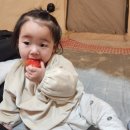 플러스농장 | [보령여행] 아이와 같이 가기 좋은 보령팜 체험농장 보령팜플러스 이용후기