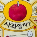 일랑이랑 네이버블로그