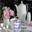사랑의꽃배달 Daum카페