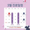 미포인트 의원 이미지