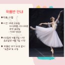 지젤무용학원 이미지