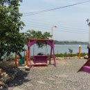 연어의추억 이미지