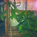 희정농장 이미지