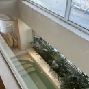 스테이노트 이미지