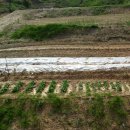 돌빛펜션 이미지