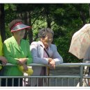 용방초등학교 이미지