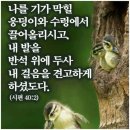 임마누엘 - 구리시 | 임마누엘