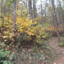 금릉초교 이미지