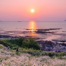 대한민국행정사 이미지