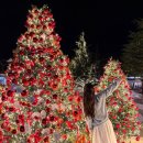 봉한3길-4 이미지