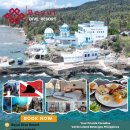 verde island 상품 안내 이미지