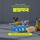 봄빛약국 이미지