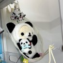 도그레이 | 홍대 [츄플레이] 오타쿠는 못 지나치는 방앗간, 소품샵 가챠삽 오타쿠 데이트 굿즈샵