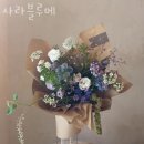 사라블루메