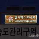 엑스포대로 이미지