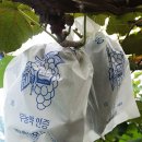 은성농장 이미지