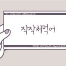 황언니