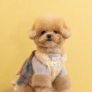 순둥이유치원 이미지