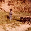 목소리 농로 | 1985, 을축년