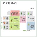 ♥ 양재 꽃 시장 화훼 단지 (화분, 분화 구매/ 주차) ♥
