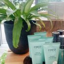 자연주의디자인하우스 이미지