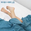 주식회사 바닷
