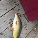 취병낚시터 이미지