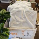 UR(광주시)-[경충대로]-상-2 | 거진항코다리 광주점 솔직후기:) 경기광주 코다리집 찾는다면 여기!