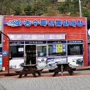 (사)신안군관광협의회 암태오도지점 | 천사섬 전남 신안 암태도 오도선착장 1004 농수특산물 판매장