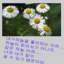 시원한바람 이미지