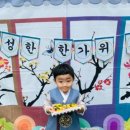 아인슈타인유치원 이미지