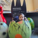 해남공룡박물관 이미지