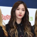 신비체육관 이미지