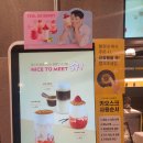 컴포즈커피남산 네이버블로그