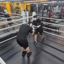 백마체육관 이미지