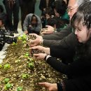 동전마을회관 이미지