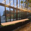 지니 케이크 이미지