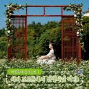 제주민속촌 이미지