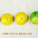 정우농장2 이미지