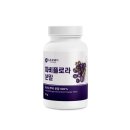 푸른바이오에스