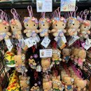 사랑의언덕 이미지