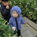 용인대 힘찬나래 이미지