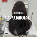 회기18 | 회기역 미용실 모코지헤어 전체염색과 커트받고 온 후기