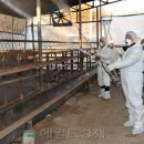 우종은농장 이미지