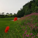 골드레이크컨트리클럽(회원제) | 전라도골프장 나주 골드레이크CC 중흥골드스파리조트 1박2일골프패키지 정보 라운딩후기